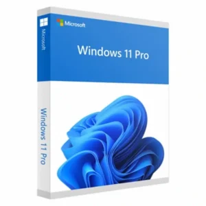 Get Windows 11 Professional Key  Lifetime Activation