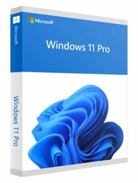 windows 11 professional key