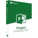 Microsoft Project 2019 Professionnel