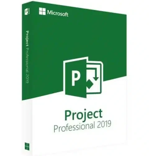 Microsoft Project 2019 Professionnel